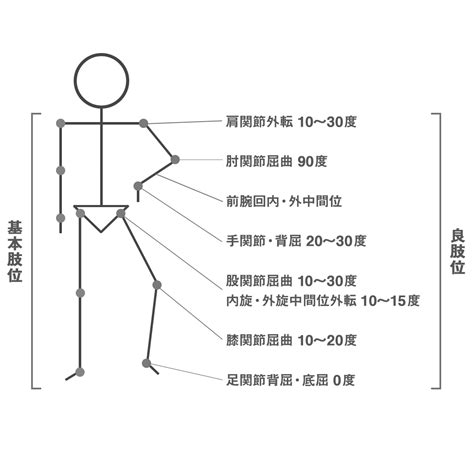 腰三角 構成|基本肢位・良肢位って何だ？ 解説するよ！